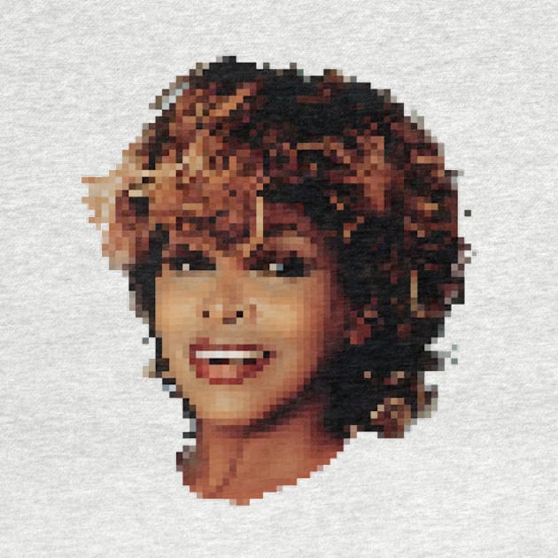 Tina Turner by Taller BAC